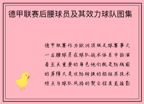 德甲联赛后腰球员及其效力球队图集